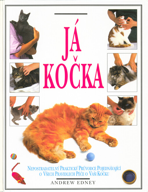 Já, kočka