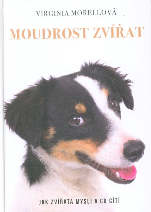 Moudrost zvířat : jak zvířata myslí a co cítí