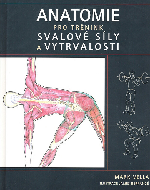 Anatomie pro trénink svalové síly a vytrvalosti