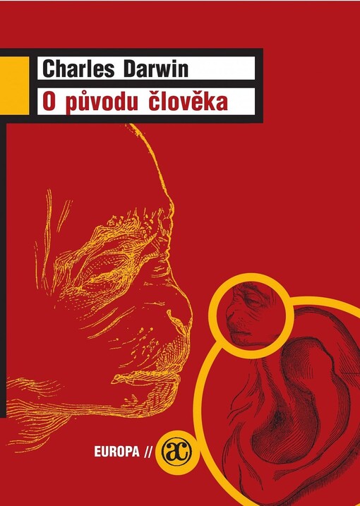 O původu člověka