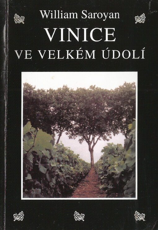 Vinice ve velkém údolí