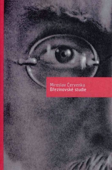 Březinovské studie