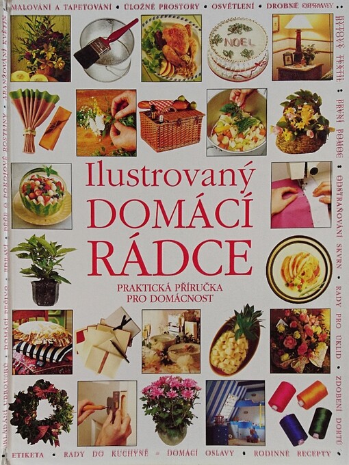 Ilustrovaný domácí rádce : praktická příručka pro domácnost