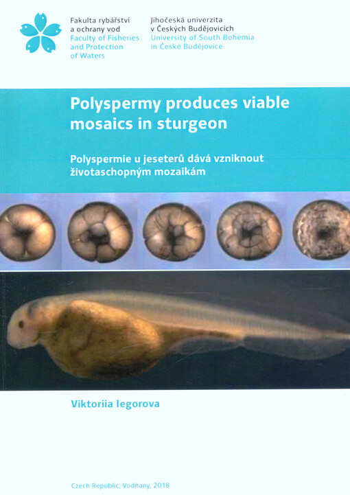 Polyspermy produces viable mosaics in sturgeon =: Polyspermie u jeseterů dává vzniknout životaschopným mozaikám