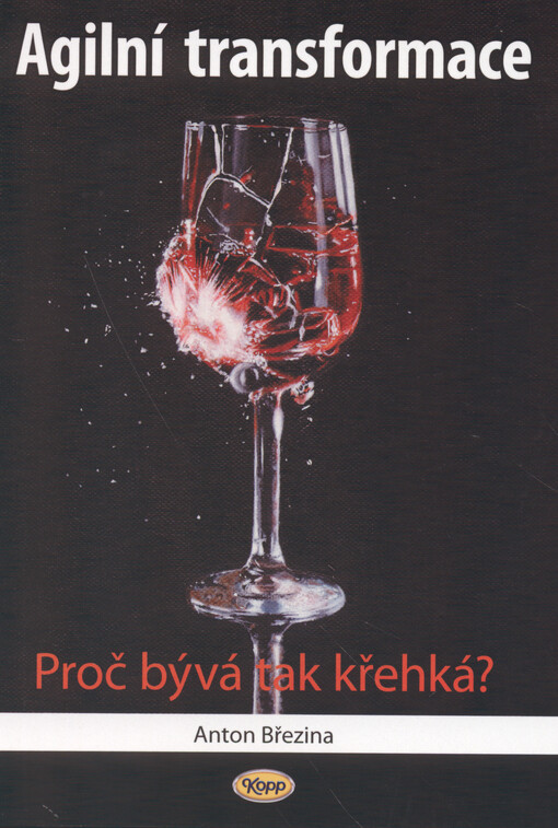 Agilní transformace : proč bývá tak křehká?