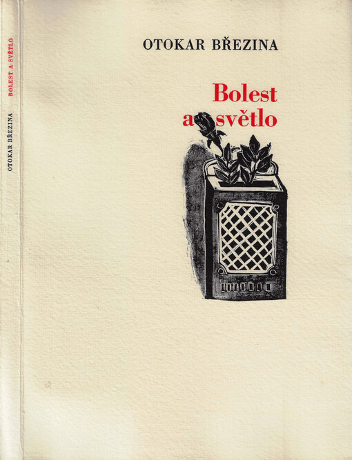 Bolest a světlo : z dopisů Anně Pammrové 1889-1905