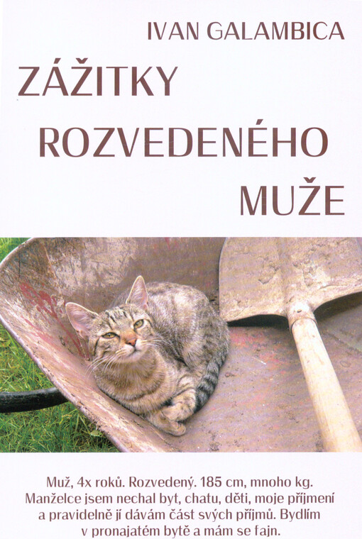 Zážitky rozvedeného muže
