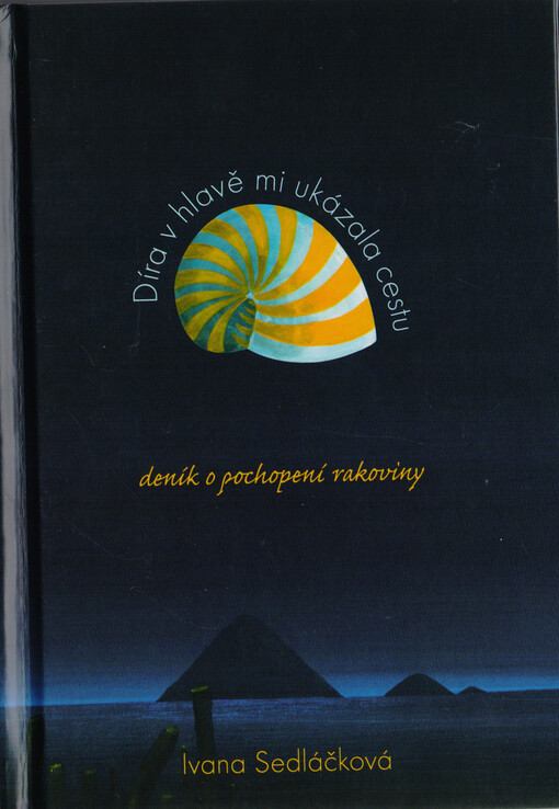 Díra v hlavě mi ukázala cestu : deník o pochopení rakoviny