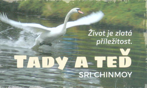 Tady a teď : život je zlatá příležitost