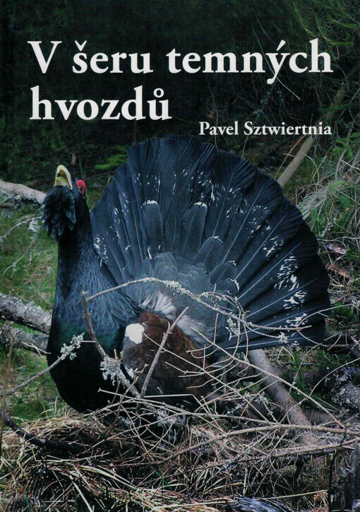V šeru temných hvozdů