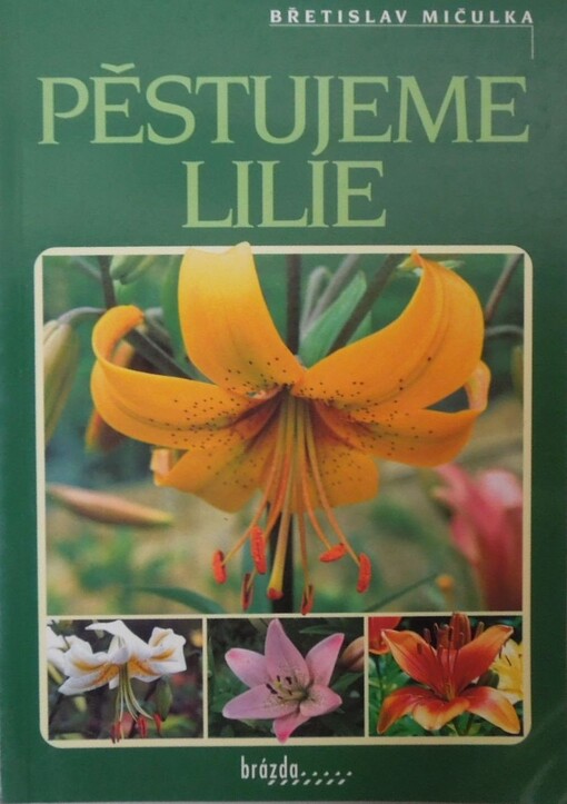 Pěstujeme lilie