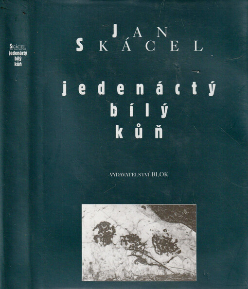 Jedenáctý bílý kůň