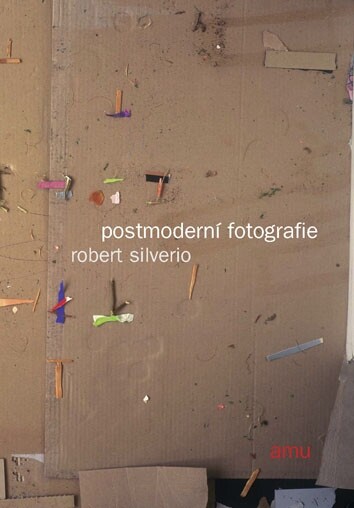 Postmoderní fotografie : fotografie jako umění na konci dvacátého století