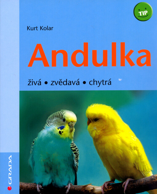 Andulka: živá, zvědavá, chytrá