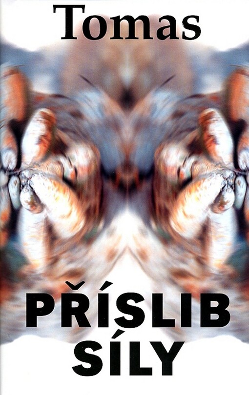 Příslib síly : úvahy nad rozhovory toltéckých bojovníků v díle Carlose Castanedy