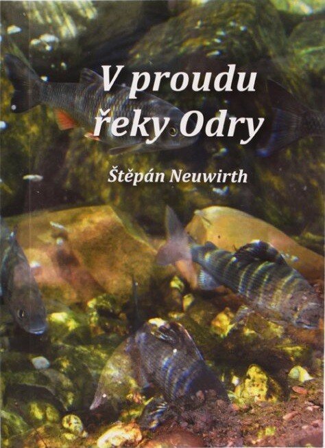 V proudu řeky Odry