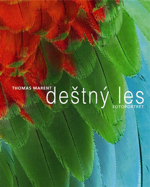 Deštný les: [fotoportrét]