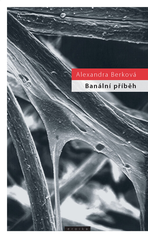 Banální příběh : filmová povídka o prostém životním běhu