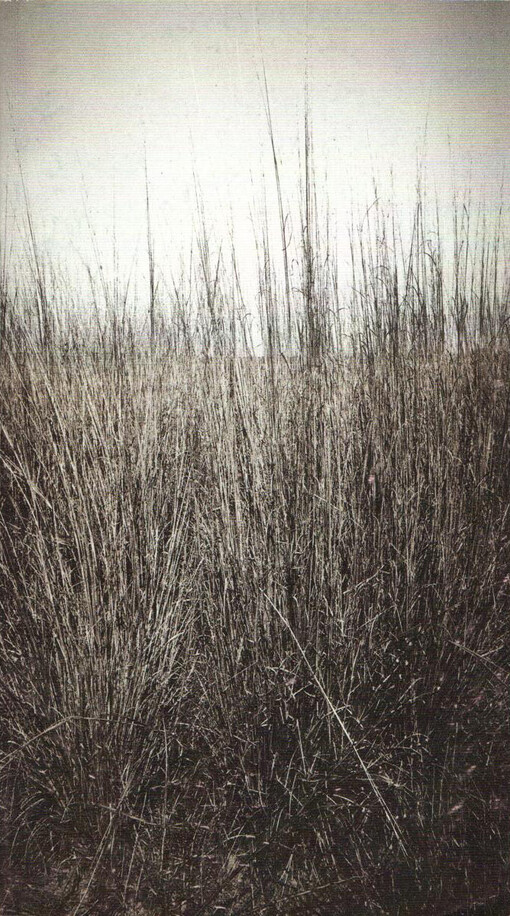 Vladislav Vančura, Markéta Lazarová: 26 královských zpěvů o pouti, kterou vykonal hrabě Kristián z hradu Freiheit, česky zvaného Svoboda, do dubiny, které se říká Opojení : premiéra 14. a 15. března 2002 v Národním divadle