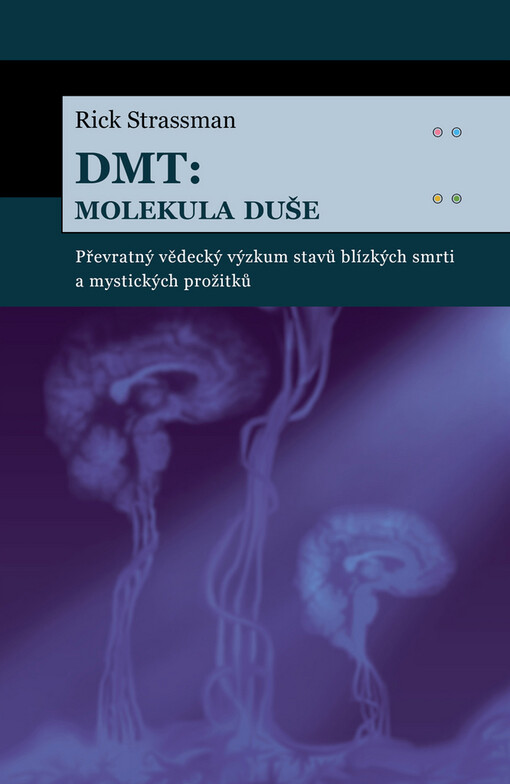 DMT: molekula duše : převratný vědecký výzkum stavů blízkých smrti a mystických prožitků