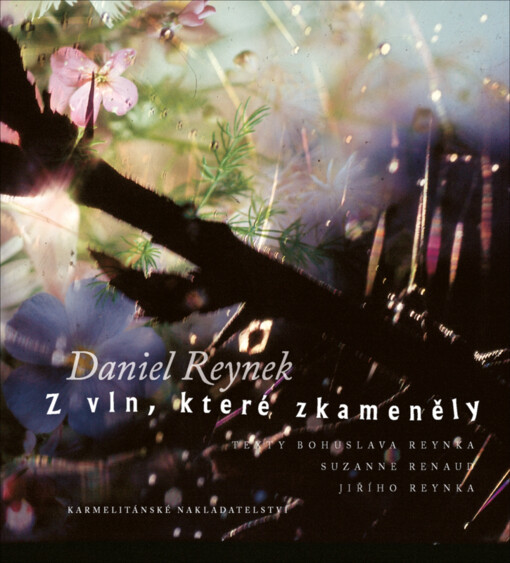 Z vln, které zkameněly