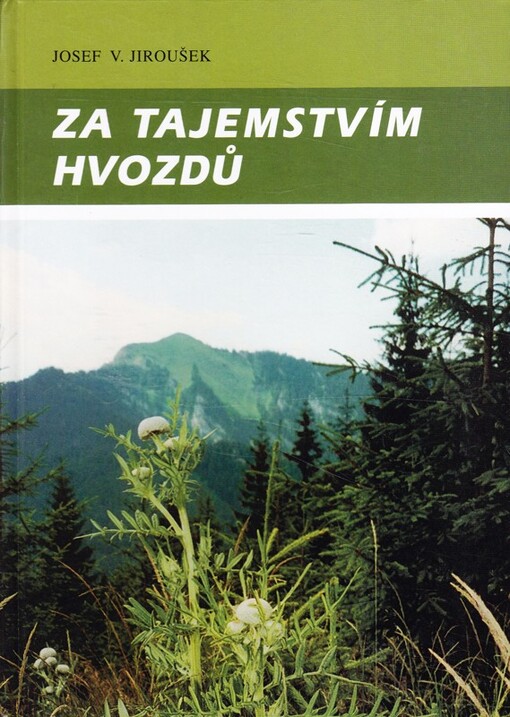 Za tajemstvím hvozdů