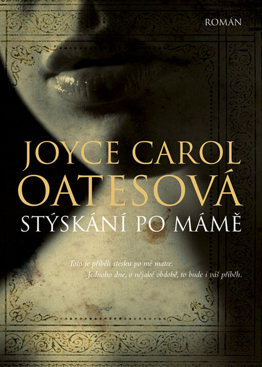 Stýskání po mámě : [román]