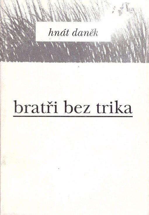 Bratři bez trika