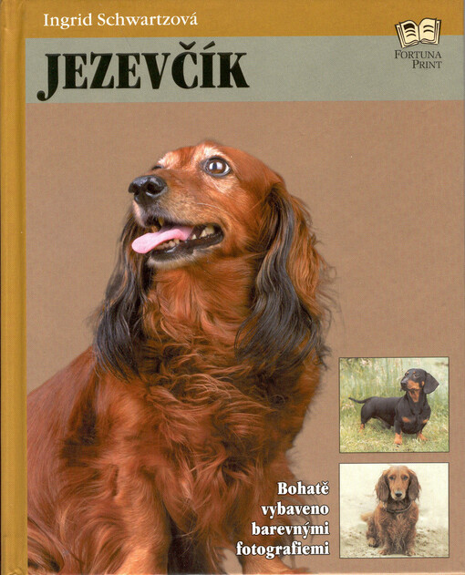Jezevčík