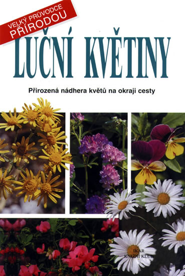 Luční květiny: přirozená nádhera květů na okraji cesty