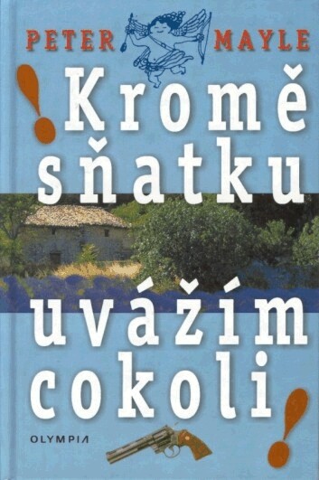 Kromě sňatku uvážím cokoli!