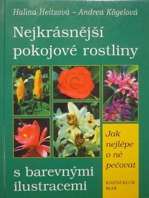 Nejkrásnější pokojové rostliny