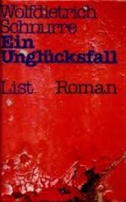 Ein Unglucksfall: Roman (German Edition)
