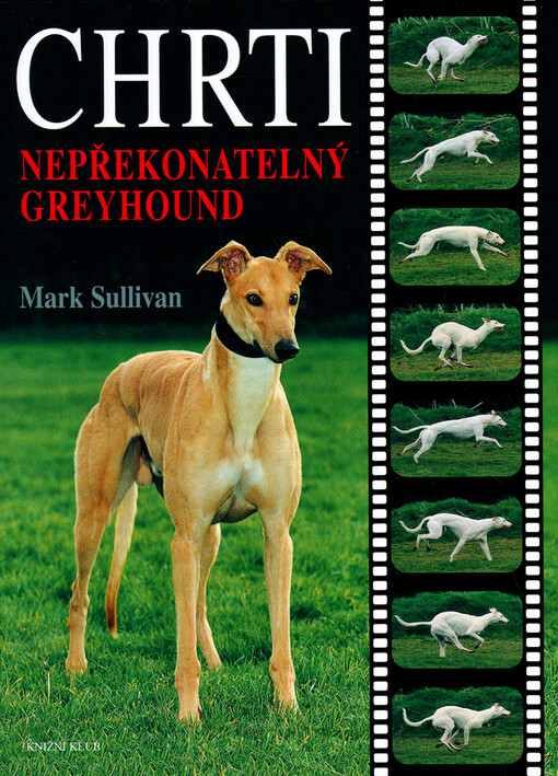 Chrti: nepřekonatelný greyhound