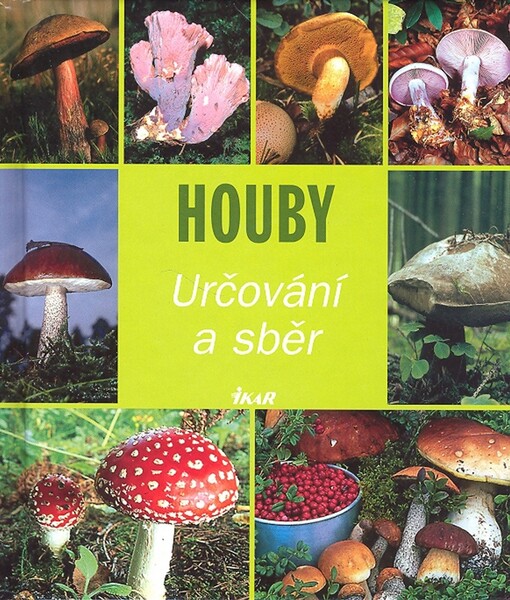Houby: určování a sběr