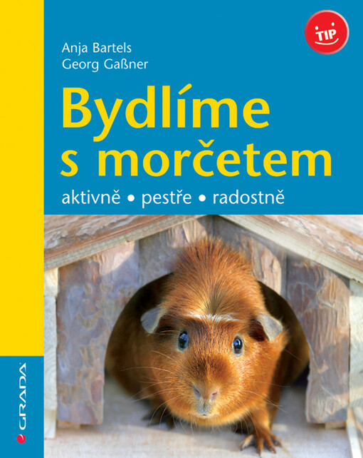 Bydlíme s morčetem : aktivně, pestře, radostně