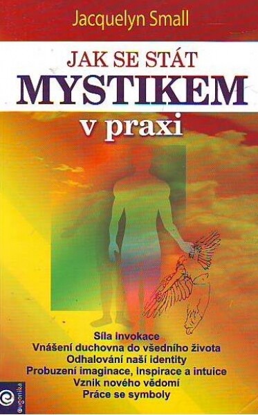 Jak se stát mystikem v praxi : záměrné vytváření naší duchovní budoucnosti