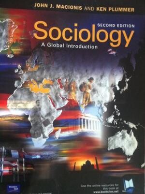 Sociology : a global introduction