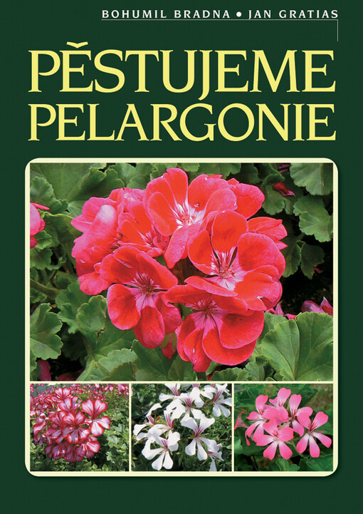 Pěstujeme pelargonie