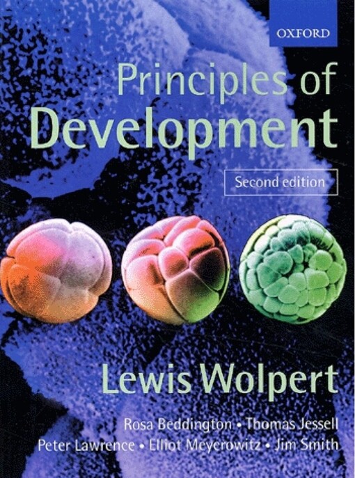Principles of development