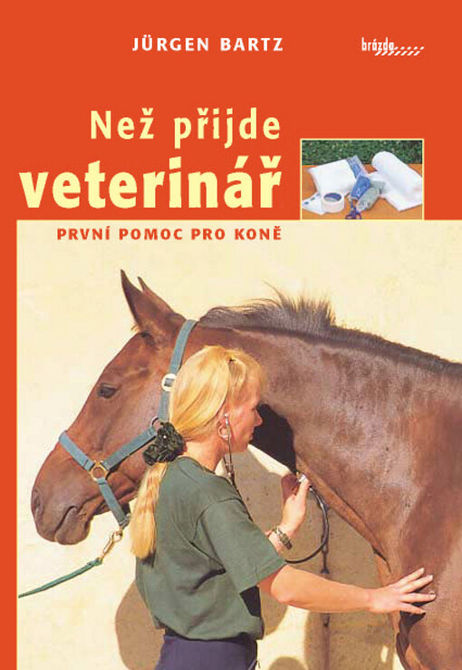 Než přijde veterinář: první pomoc pro koně