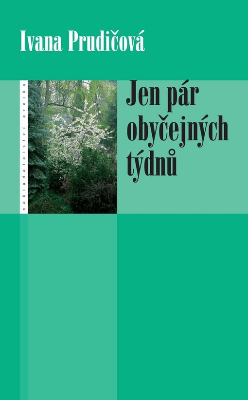Jen pár obyčejných týdnů