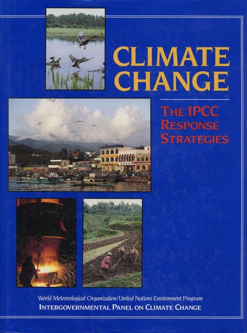 Climate change : the IPCC response strategies