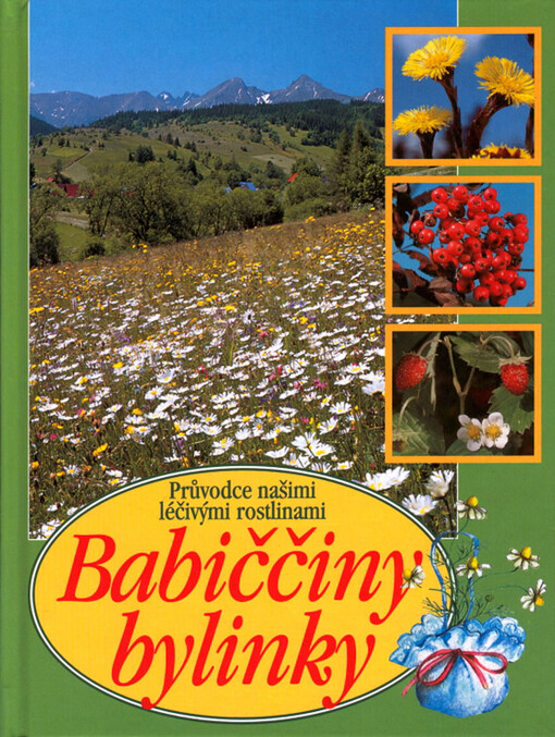 Babiččiny bylinky : průvodce našimi léčivými rostlinami