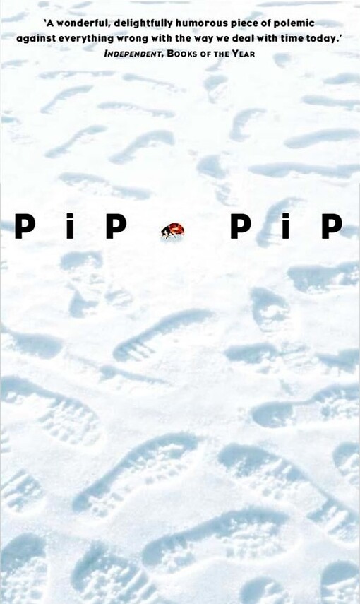 Pip pip : a sideways look at time