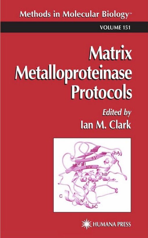 Matrix Metalloproteinase Protocols (Methods in Molecular Biology)
