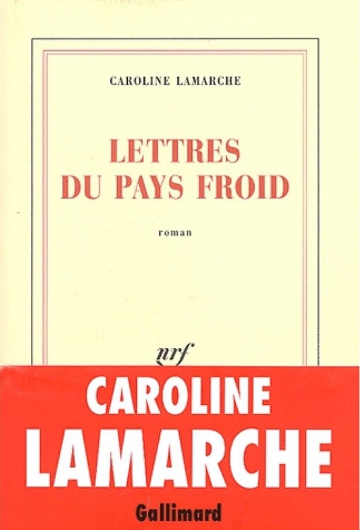 Lettres du pays froid : roman
