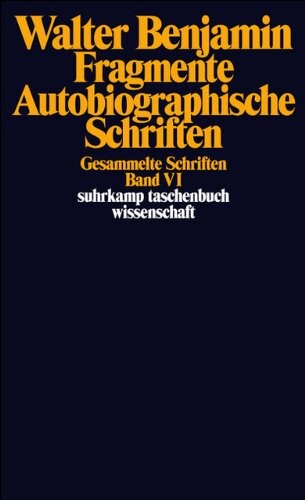 Ludwig Wittgenstein und der Wiener Kreis. Gespräche, aufgezeichnet von Friedrich Waismann