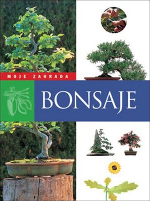 Bonsaj