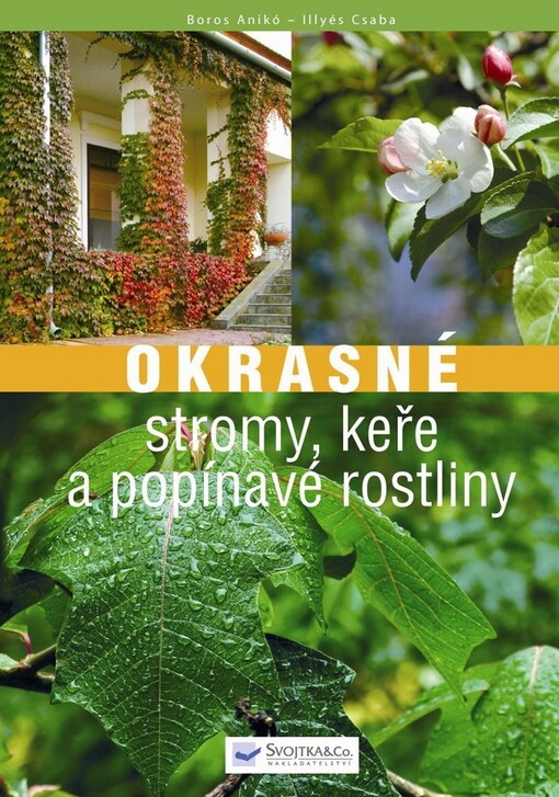 Okrasné stromy, keře a popínavé rostliny